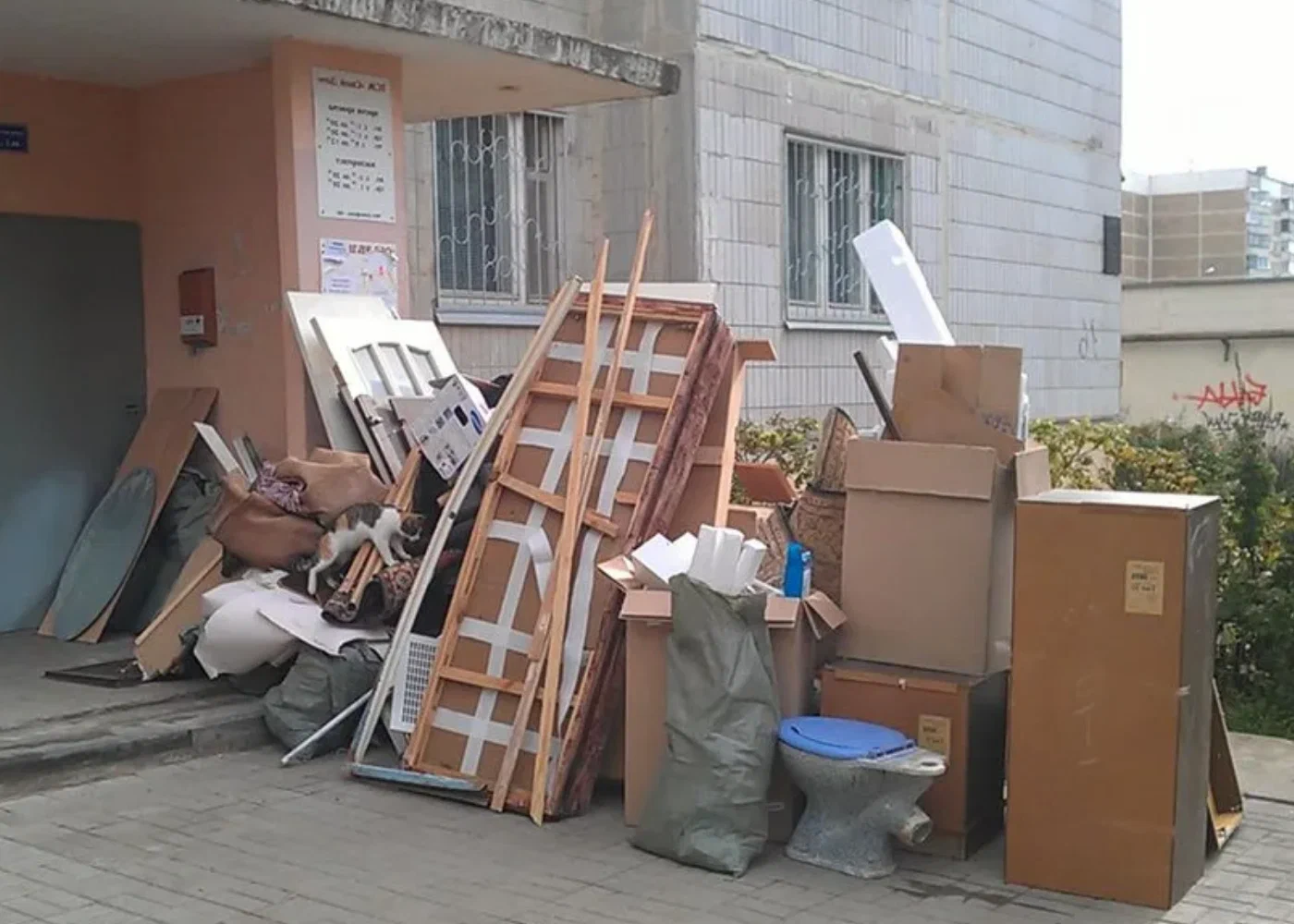 Профессиональный вывоз мусора из квартиры в Кургане в октябре