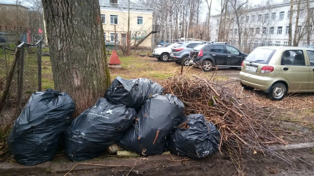 Вывоз мусора после субботника в Кургане от ПроМусор – уборка и утилизация отходов от 2423 руб