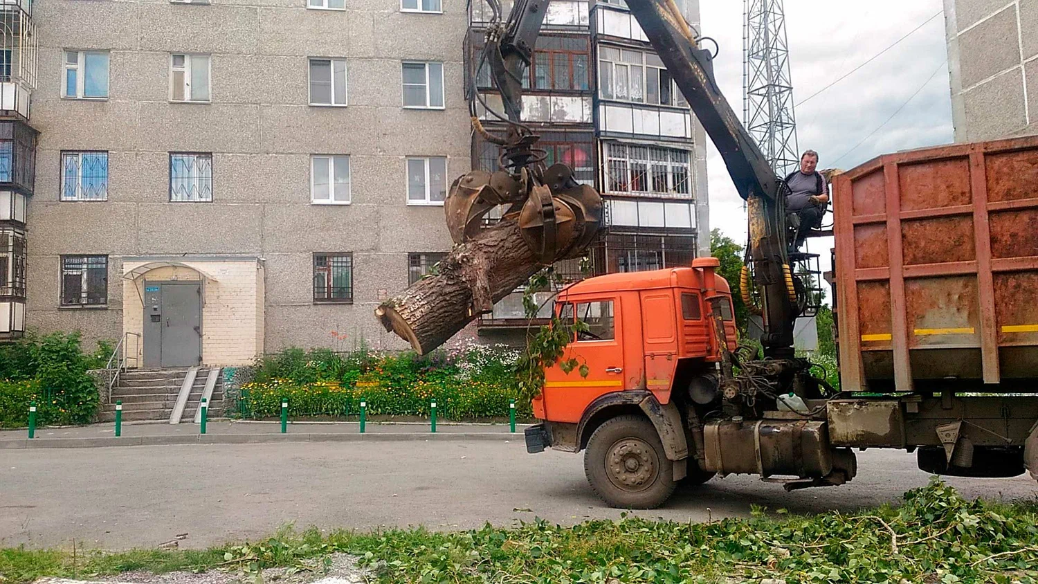 Вывоз спиленных веток и деревьев в Кургане от ПроМусор: порубочные остатки, утилизация, цена от 2990 руб