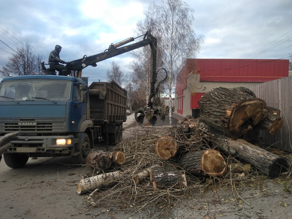 Вывоз древесных отходов и утилизация в Кургане от ПроМусор — цена от 722 руб., вывоз опилок, досок, бревен